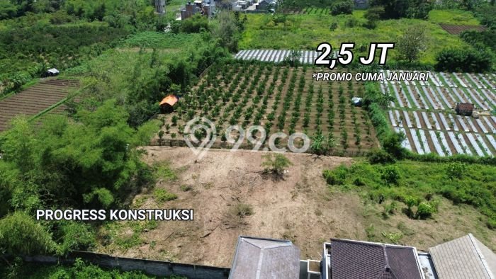Tanah Dijual Lokasi Dau Malang SHM Tanah Dijual Lokasi Dau Malang SHM
