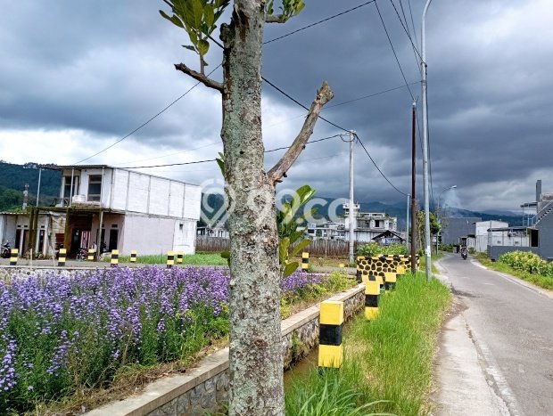 Rumah Minimalis 3 KT di Batu Malang Full Furnished Rumah Minimalis 3 KT di Batu Malang Full Furnished