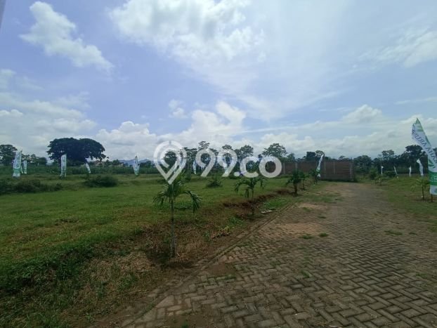 Kavling Tanah Dijual di Pakis Malang Spesifikasi 66m2 Kavling Tanah Dijual di Pakis Malang Spesifikasi 66m2