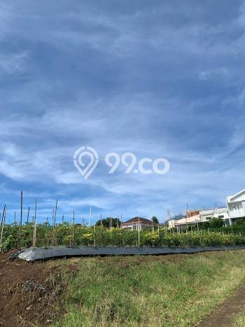 Tanah Dijual Area Strategis di Merjosari Malang 84m2 Tanah Dijual Area Strategis di Merjosari Malang 84m2