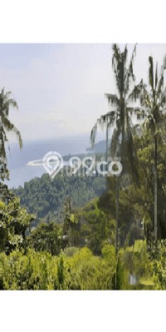 Tanah Dijual Lokasi Batu Layar, Lombok Barat Luas 2000m2 Legalitas Aman Tanah Dijual Lokasi Batu Layar, Lombok Barat Luas 2000m2 Legalitas Aman