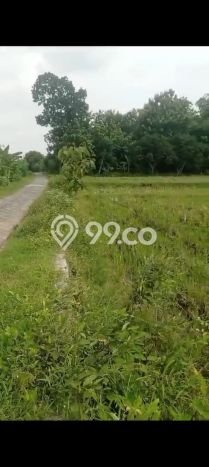 Lahan Kosong Dijual di Bojonegoro dengan Area 5933m2 Lahan Kosong Dijual di Bojonegoro dengan Area 5933m2