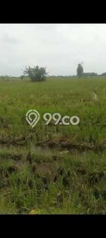 Lahan Kosong Dijual di Bojonegoro dengan Area 5933m2 Lahan Kosong Dijual di Bojonegoro dengan Area 5933m2