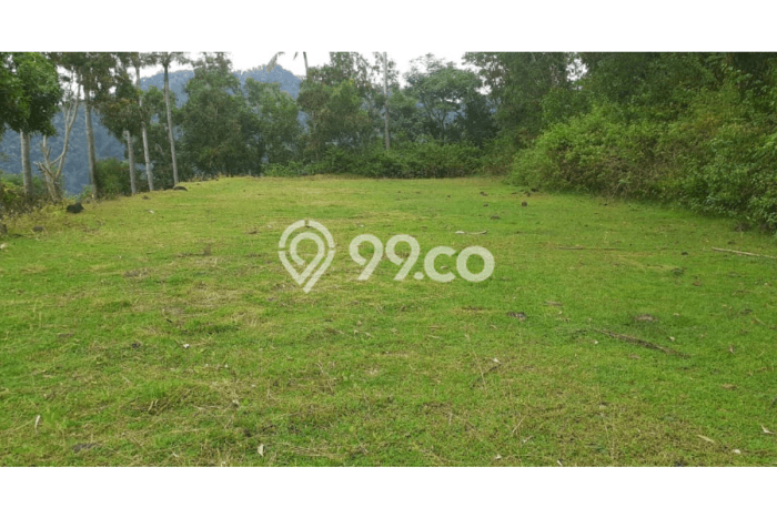 Tanah Dijual Lokasi Batu Layar, Lombok Barat Luas 2000m2 Legalitas Aman Tanah Dijual Lokasi Batu Layar, Lombok Barat Luas 2000m2 Legalitas Aman