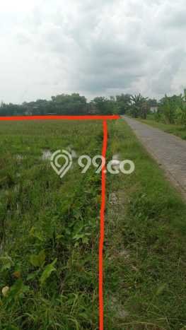Lahan Kosong Dijual di Bojonegoro dengan Area 5933m2 Lahan Kosong Dijual di Bojonegoro dengan Area 5933m2