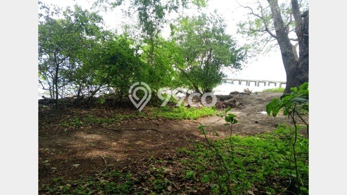 Tanah Kavling untuk Dijual di Moyohilir Sumbawa 32700m2 Tanah Kavling untuk Dijual di Moyohilir Sumbawa 32700m2