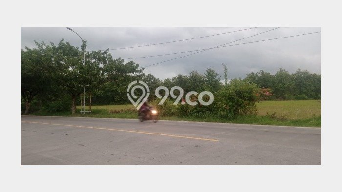 Kavling Tanah Dijual di Padangan Bojonegoro Spesifikasi 10445m2 Kavling Tanah Dijual di Padangan Bojonegoro Spesifikasi 10445m2