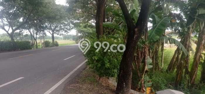 Lahan Strategis di Padangan Dijual dengan Luas 3587m2 Lahan Strategis di Padangan Dijual dengan Luas 3587m2