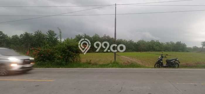 Kavling Tanah Dijual di Padangan Bojonegoro Spesifikasi 10445m2 Kavling Tanah Dijual di Padangan Bojonegoro Spesifikasi 10445m2
