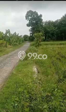 Lahan Kosong Dijual di Bojonegoro dengan Area 5933m2 Lahan Kosong Dijual di Bojonegoro dengan Area 5933m2