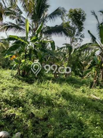 Dijual Tanah Kawasan Tabanan, Luas 22500m2m², Dekat Tabanan, Tabanan, Tabanan Dijual Tanah Kawasan Tabanan, Luas 22500m2m², Dekat Tabanan, Tabanan, Tabanan