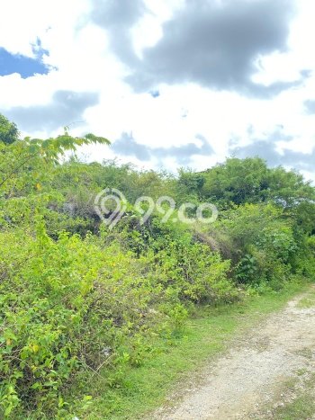 Tanah Dijual Lokasi Strategis di Badung dengan Luas 200m2 Tanah Dijual Lokasi Strategis di Badung dengan Luas 200m2