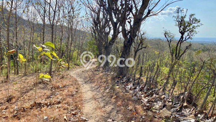 Dijual Tanah Lokasi Singaraja, Buleleng Seluas 22500m2 Dijual Tanah Lokasi Singaraja, Buleleng Seluas 22500m2