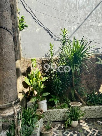 Hunian Mewah Dijual LT 250m2 di Denpasar Utara, Denpasar Hunian Mewah Dijual LT 250m2 di Denpasar Utara, Denpasar