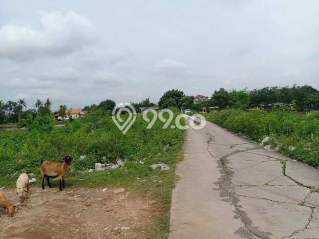 LOKASI STRATEGIS! Tanah di , Luas 9980m2m², Area Asri, Cocok untuk Hunian LOKASI STRATEGIS! Tanah di , Luas 9980m2m², Area Asri, Cocok untuk Hunian