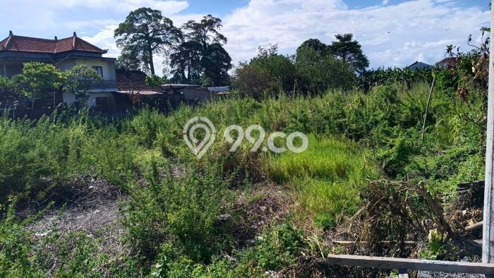 Tanah Disewa Strategis di Denpasar Luas 600m2 Tanah Disewa Strategis di Denpasar Luas 600m2