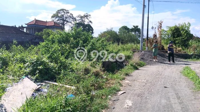 Tanah Disewa Strategis di Denpasar Luas 600m2 Tanah Disewa Strategis di Denpasar Luas 600m2