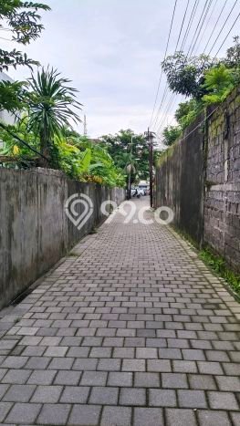 Disewakan segera hunian minimalis strategis 14 Kamar di Denpasar Utara, Denpasar Disewakan segera hunian minimalis strategis 14 Kamar di Denpasar Utara, Denpasar
