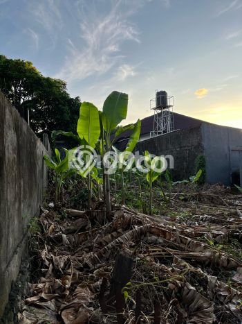 Lahan untuk Disewa di Badung Luas 290m2 Lahan untuk Disewa di Badung Luas 290m2
