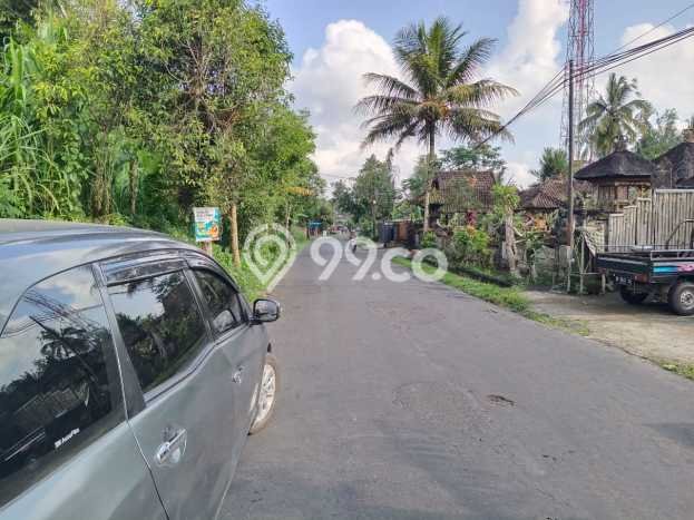Tanah di Ubud, Gianyar Luas 2500m2 Dijual Segera Tanah di Ubud, Gianyar Luas 2500m2 Dijual Segera