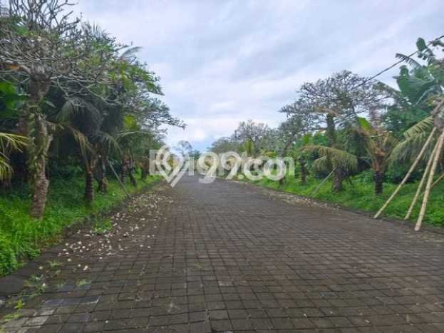 Tanah Dijual di Gianyar Seluas 100m2 Strategis Tanah Dijual di Gianyar Seluas 100m2 Strategis