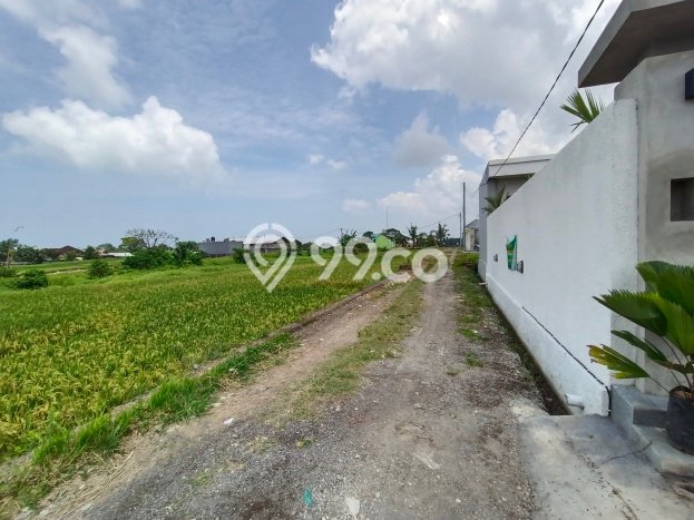 Vila Siap Huni di Kediri, Luas 0m², For Rent Vila Siap Huni di Kediri, Luas 0m², For Rent