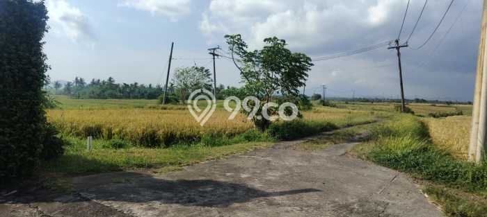 KESEMPATAN EMAS! Vila di Selemadeg, Dimensi 13000m2m², Kawasan Berkembang dengan nilai meningkat KESEMPATAN EMAS! Vila di Selemadeg, Dimensi 13000m2m², Kawasan Berkembang dengan nilai meningkat