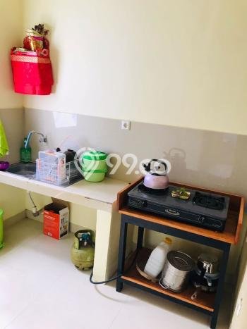 Disewakan Cepat Rumah Kondisi Bagus di Kawasan Denpasar Utara, Denpasar Disewakan Cepat Rumah Kondisi Bagus di Kawasan Denpasar Utara, Denpasar