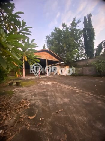 Jarang Ada! Tanah Kavling Disewakan di Denpasar 650m2 Jarang Ada! Tanah Kavling Disewakan di Denpasar 650m2