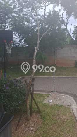 Disewakan Rumah Konsep Minimalis di BSD Tangerang Selatan dengan 3 Kamar Disewakan Rumah Konsep Minimalis di BSD Tangerang Selatan dengan 3 Kamar