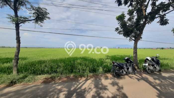Lahan Investasi Lokasi Kertajati Majalengka SHM Lahan Investasi Lokasi Kertajati Majalengka SHM