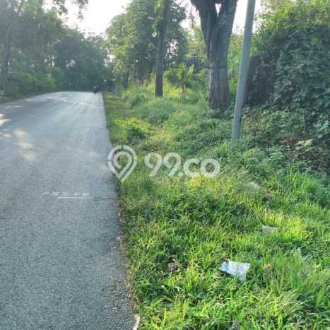 Tanah Dijual Lokasi Purwodadi, Malang Luas 7200m2 Legalitas Aman Tanah Dijual Lokasi Purwodadi, Malang Luas 7200m2 Legalitas Aman