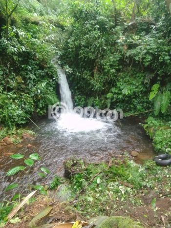 Tanah Kavling di Banjar Dijual dengan Luas 33000m2 Tanah Kavling di Banjar Dijual dengan Luas 33000m2