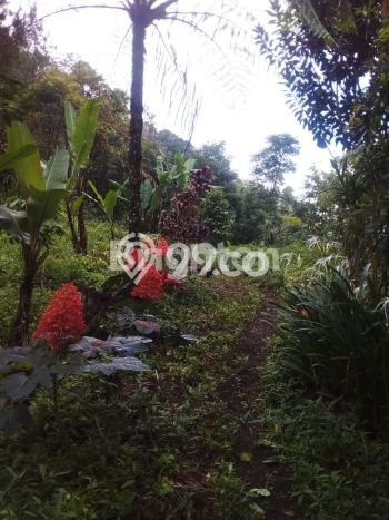 Tanah Kavling di Banjar Dijual dengan Luas 33000m2 Tanah Kavling di Banjar Dijual dengan Luas 33000m2