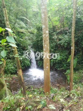 Tanah Kavling di Banjar Dijual dengan Luas 33000m2 Tanah Kavling di Banjar Dijual dengan Luas 33000m2
