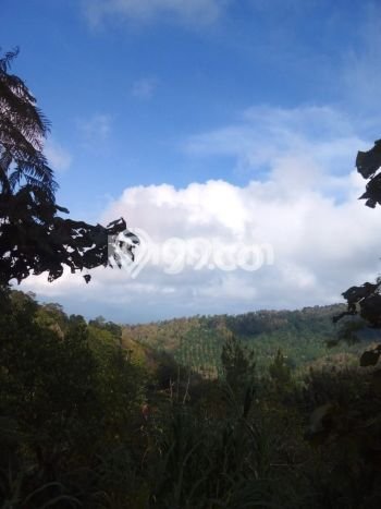 Tanah Kavling di Banjar Dijual dengan Luas 33000m2 Tanah Kavling di Banjar Dijual dengan Luas 33000m2