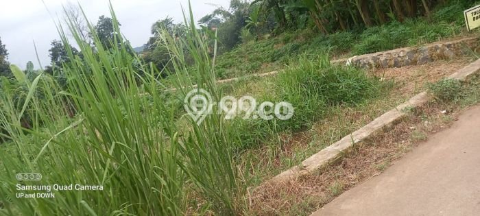 Tanah Kavling di Parung Dijual dengan Luas 120m2 Tanah Kavling di Parung Dijual dengan Luas 120m2