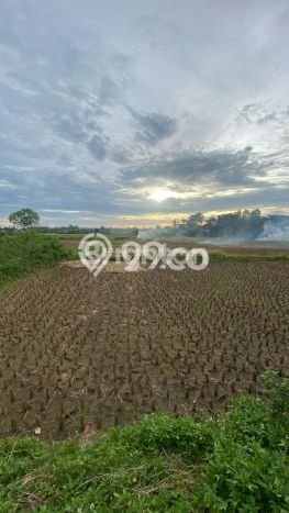 Untuk Dijual Tanah di Legok Tangerang Luas 935m2 SHM Untuk Dijual Tanah di Legok Tangerang Luas 935m2 SHM