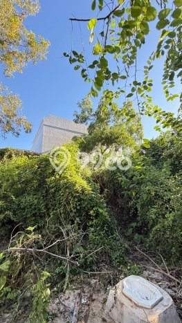 Untuk Dijual Tanah di Badung, Luas 110m2 SHM Untuk Dijual Tanah di Badung, Luas 110m2 SHM