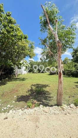 Kavling Tanah untuk Dijual di Jimbaran, Badung, Luas 650m2 Kavling Tanah untuk Dijual di Jimbaran, Badung, Luas 650m2