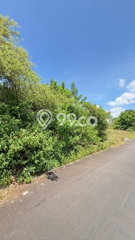 Tanah Kavling Dijual di Kutuh, Badung dengan Luas Tanah 425m2 Tanah Kavling Dijual di Kutuh, Badung dengan Luas Tanah 425m2