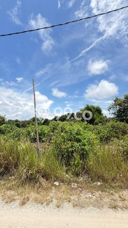 Tanah Kawasan , Luas 619m2m², Area Potensial, Dekat Badung, Badung Tanah Kawasan , Luas 619m2m², Area Potensial, Dekat Badung, Badung