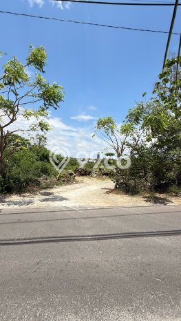 Tanah Kawasan , Luas 619m2m², Area Potensial, Dekat Badung, Badung Tanah Kawasan , Luas 619m2m², Area Potensial, Dekat Badung, Badung