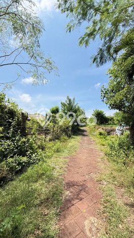 Tanah Investasi Dijual di Badung Punya Luas 2000m2 Tanah Investasi Dijual di Badung Punya Luas 2000m2