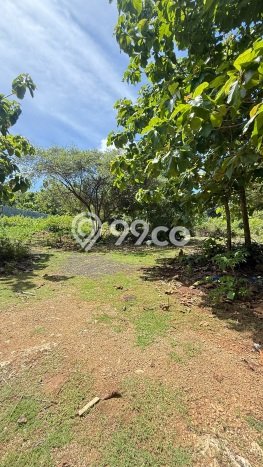 Tanah Dijual Lokasi Strategis di Badung dengan Luas 350m2 Tanah Dijual Lokasi Strategis di Badung dengan Luas 350m2