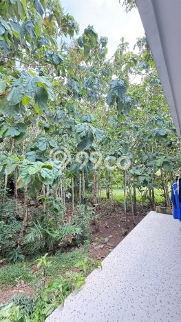 Tanah Investasi Dijual di Badung Punya Luas 2000m2 Tanah Investasi Dijual di Badung Punya Luas 2000m2