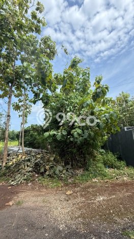 Kavling Tanah untuk Dijual di Kutuh, Badung, Luas 400m2 Kavling Tanah untuk Dijual di Kutuh, Badung, Luas 400m2