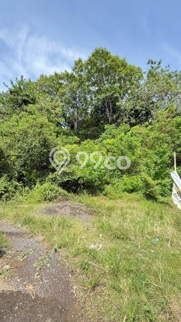 Tanah Kavling Dijual di Kutuh, Badung dengan Luas Tanah 1136m2 Tanah Kavling Dijual di Kutuh, Badung dengan Luas Tanah 1136m2