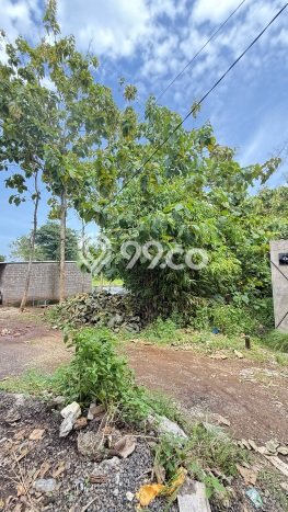 Kavling Tanah untuk Dijual di Kutuh, Badung, Luas 400m2 Kavling Tanah untuk Dijual di Kutuh, Badung, Luas 400m2