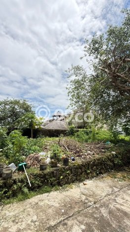 Tanah Kavling Dijual di Badung dengan Spesifikasi 266m2 Tanah Kavling Dijual di Badung dengan Spesifikasi 266m2